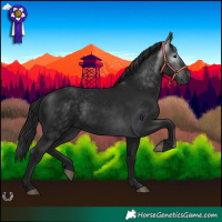 Horse Color:Gray Black 