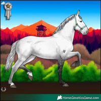 Horse Color:Gray Black 
