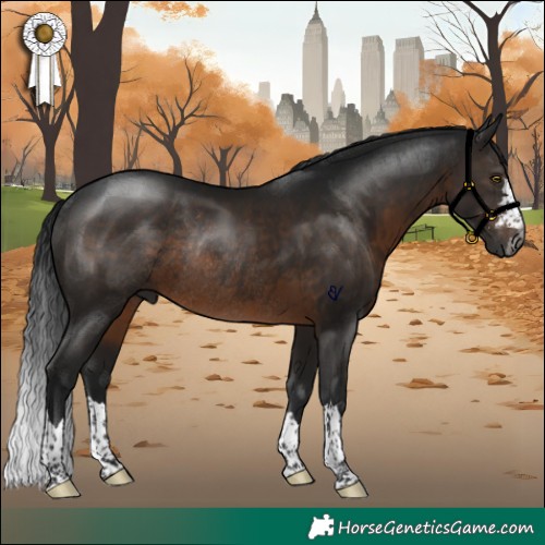 Horse Color:Gray Brown Rabicano 