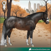 Horse Color:Gray Brown Rabicano 