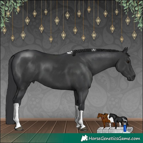 Horse Color:Black Tobiano 