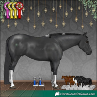 Horse Color:Black Tobiano 