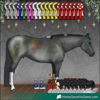 Horse Color:Black Tobiano 