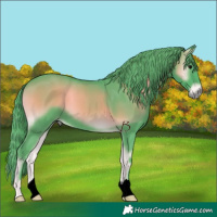 Horse Color:Watercolor Chocolate Blue Onyx