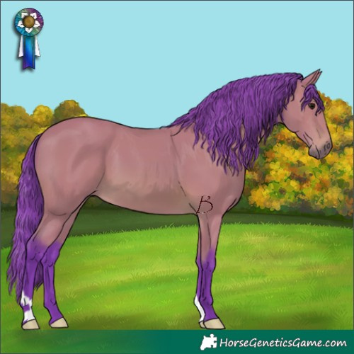 Horse Color:Watercolor Chocolate Bay 