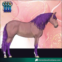 Horse Color:Watercolor Chocolate Bay 