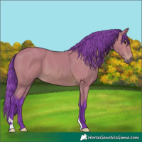 Horse Color:Watercolor Chocolate Bay 