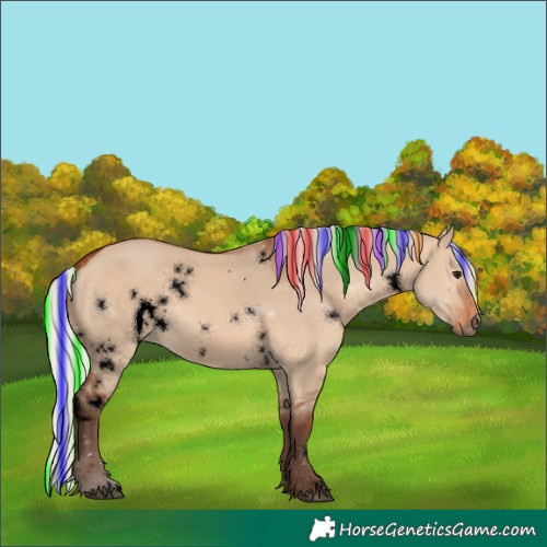 Horse Color:Void Painted White Spotted Silver Bay Dun 