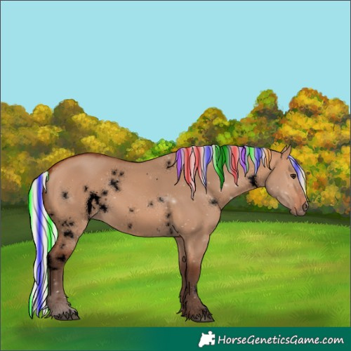 Horse Color:Void Painted White Spotted Silver Bay Dun 