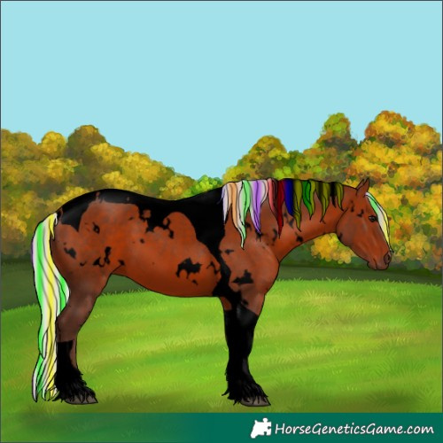 Horse Color:Void Painted White Spotted Silver Bay Tobiano 