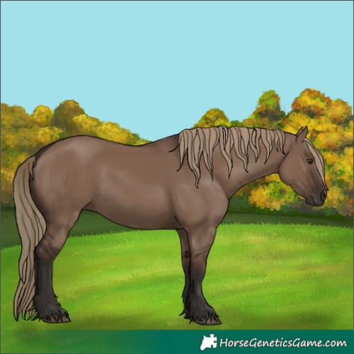 Horse Color:Liver Red Dun 