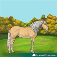 Horse Color:Silver Amber Cream Champagne 