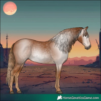 Horse Color:Gray Chestnut 