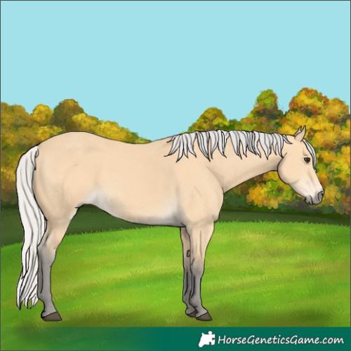 Horse Color:Silver Buckskin 