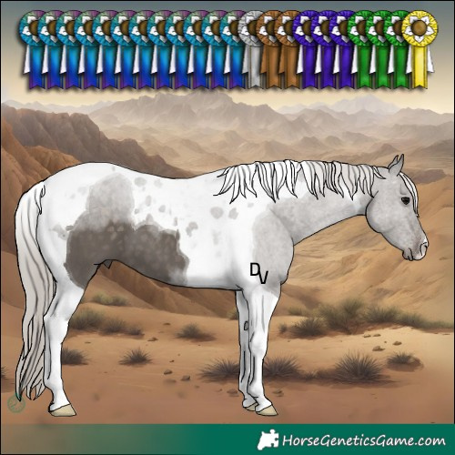 Horse Color:Silver Black Tobiano 