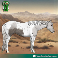 Horse Color:Silver Black Tobiano 