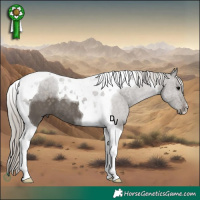 Horse Color:Silver Black Tobiano 