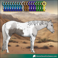 Horse Color:Silver Black Tobiano 