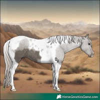 Horse Color:Silver Black Tobiano