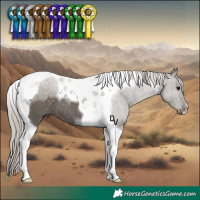 Horse Color:Silver Black Tobiano 