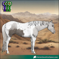 Horse Color:Silver Black Tobiano 