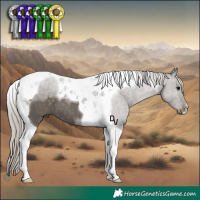 Horse Color:Silver Black Tobiano 