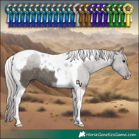 Horse Color:Silver Black Tobiano 