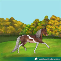 Horse Color:Chocolate Silver Brown Tobiano 