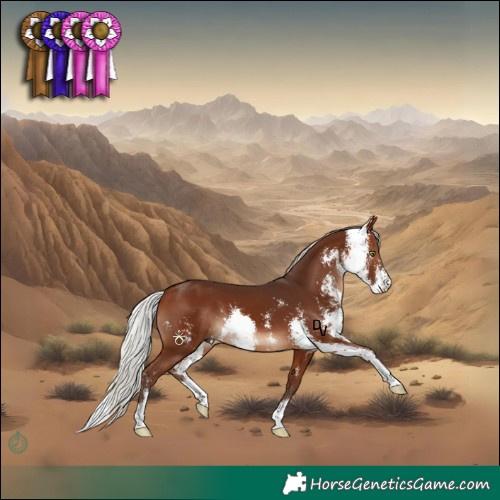 Horse Color:Silver Brown Sabino 