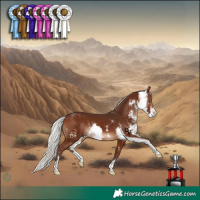 Horse Color:Silver Brown Sabino 