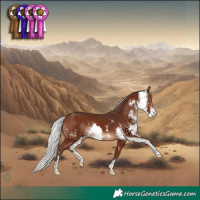 Horse Color:Silver Brown Sabino