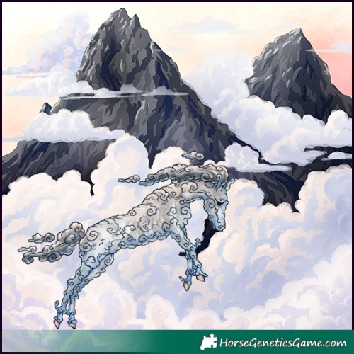 Horse Color:Grullo Ice Sabino Appaloosa 