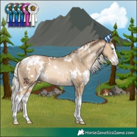 Horse Color:White Spotted Chocolate Palomino Pearl Dun Splash 