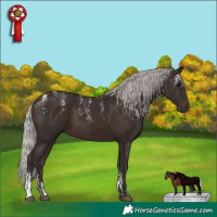 Horse Color:Powder White Silver Brown