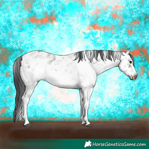 Horse Color:White Spotted Grullo Sabino Frame 