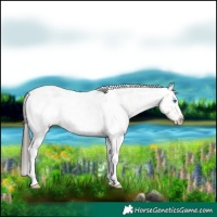 Horse Color:White Spotted Classic Champagne Dun Sabino Splash