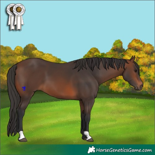 Horse Color:Brown 