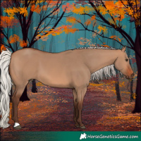 Horse Color:Silver Brown Dun 