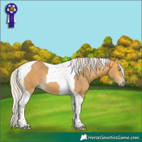 Horse Color:Silver Buckskin Tobiano