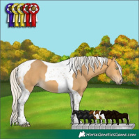 Horse Color:Silver Buckskin Tobiano 