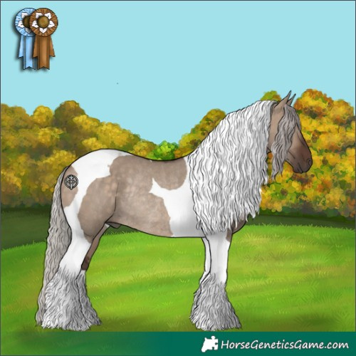 Horse Color:Silver Brown Dun Tobiano Rabicano 