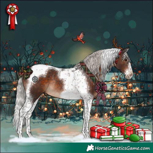 Horse Color:Silver Brown Splash Tobiano Frame Rabicano