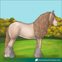 Horse Color:Gold Champagne Pearl Rabicano  and Gold Champagne Pearl Rabicano 