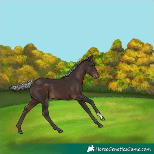 Horse Color:Silver Brown 