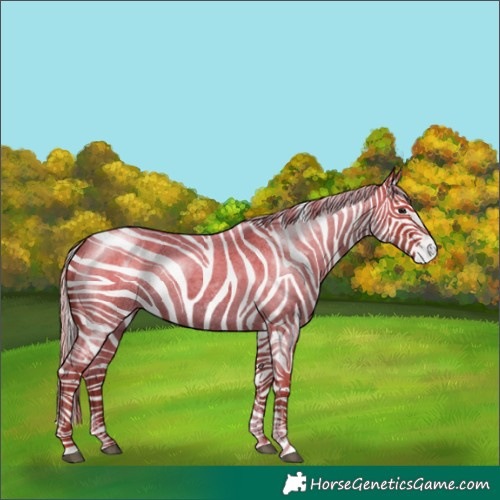 Horse Color:Silver Blue Roan Sabino 