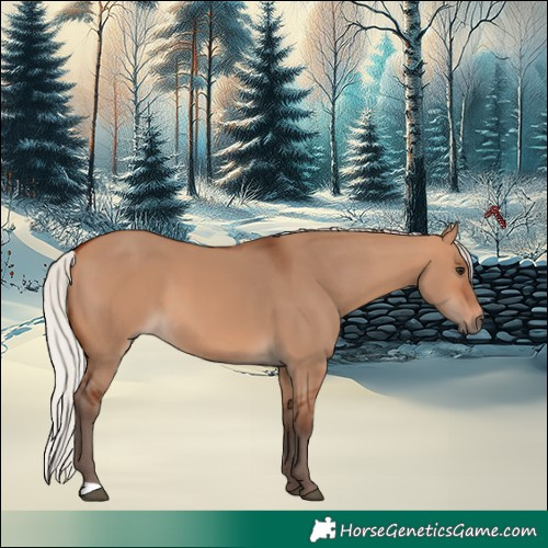 Horse Color:Silver Bay Dun 