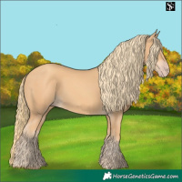 Horse Color:Gold Champagne 