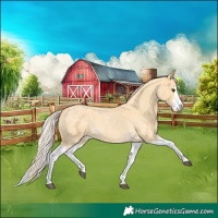 Horse Color:Palomino Roan Splash 