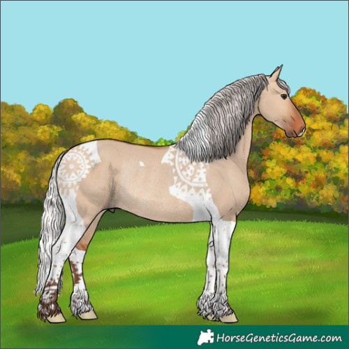 Horse Color:Silver Bay Dun Tobiano Rabicano 