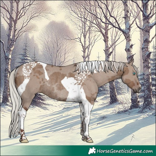 Horse Color:Silver Grullo Merle Tobiano Rabicano 